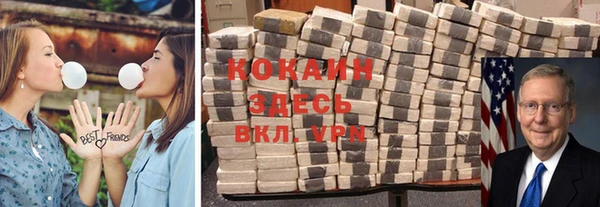 сатива Абаза