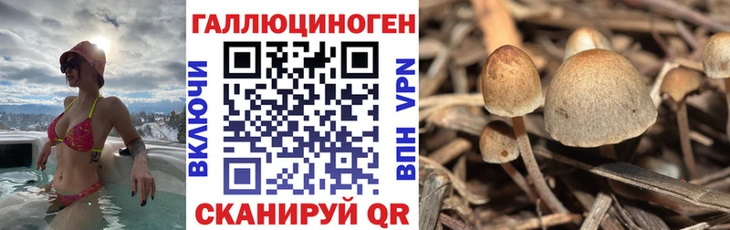 это телеграм Альметьевск Галлюциногенные грибы ЛСД